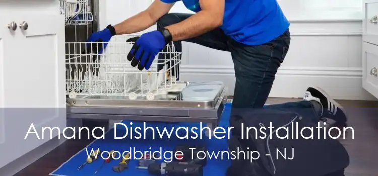 Amana Dishwasher Installation Woodbridge Township - NJ