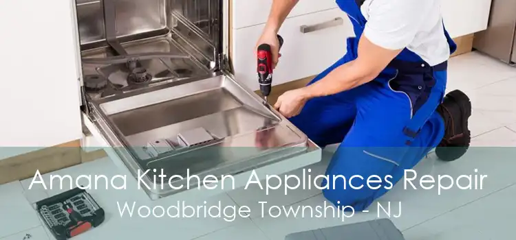 Amana Kitchen Appliances Repair Woodbridge Township - NJ