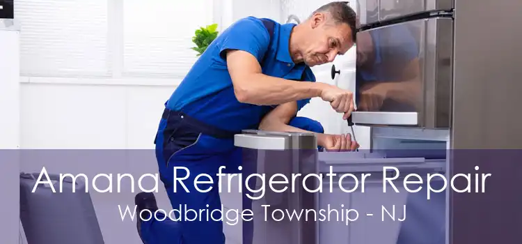 Amana Refrigerator Repair Woodbridge Township - NJ