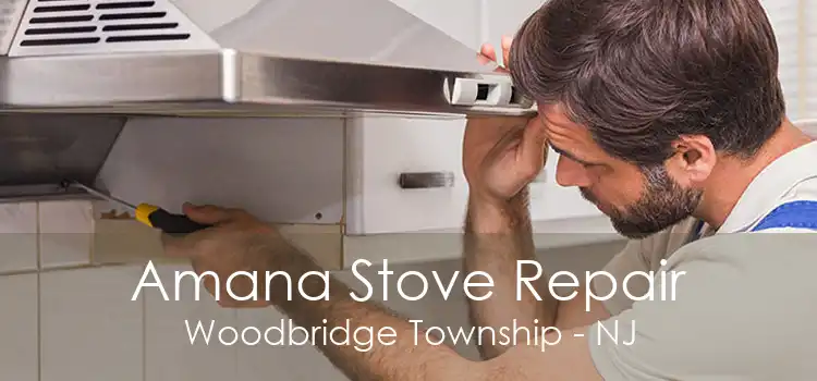 Amana Stove Repair Woodbridge Township - NJ