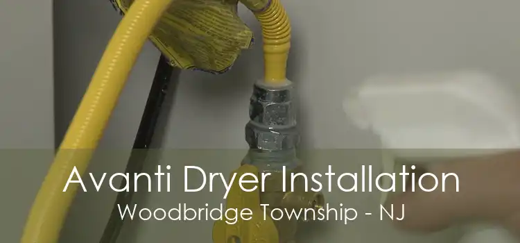 Avanti Dryer Installation Woodbridge Township - NJ