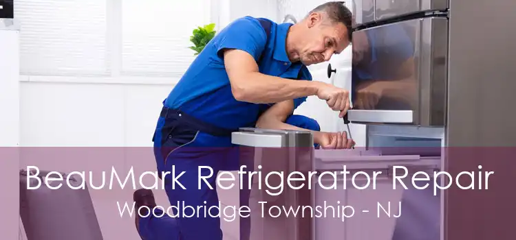 BeauMark Refrigerator Repair Woodbridge Township - NJ