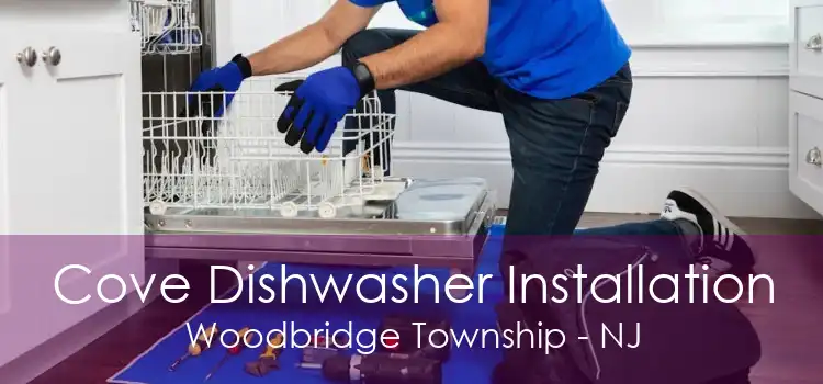 Cove Dishwasher Installation Woodbridge Township - NJ