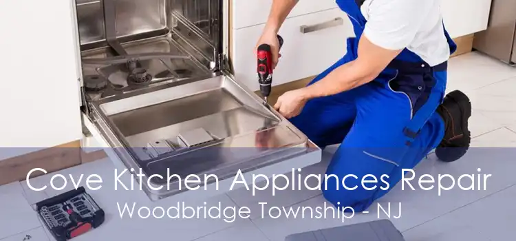 Cove Kitchen Appliances Repair Woodbridge Township - NJ