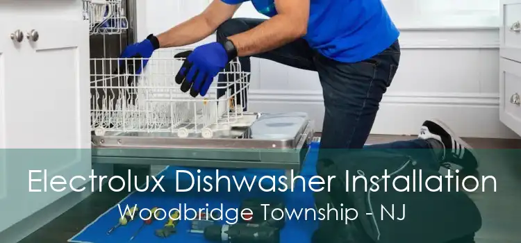 Electrolux Dishwasher Installation Woodbridge Township - NJ