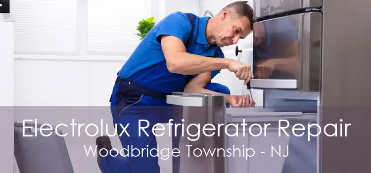 Electrolux Refrigerator Repair Woodbridge Township - NJ