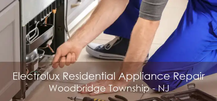 Electrolux Residential Appliance Repair Woodbridge Township - NJ