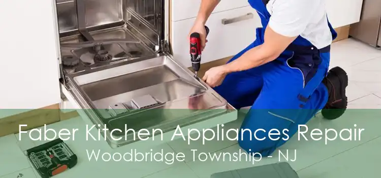 Faber Kitchen Appliances Repair Woodbridge Township - NJ