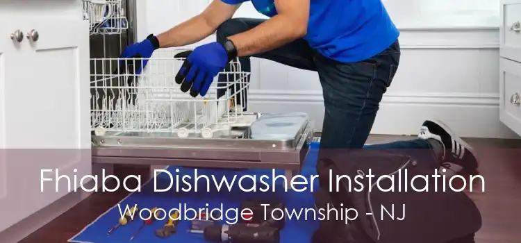 Fhiaba Dishwasher Installation Woodbridge Township - NJ