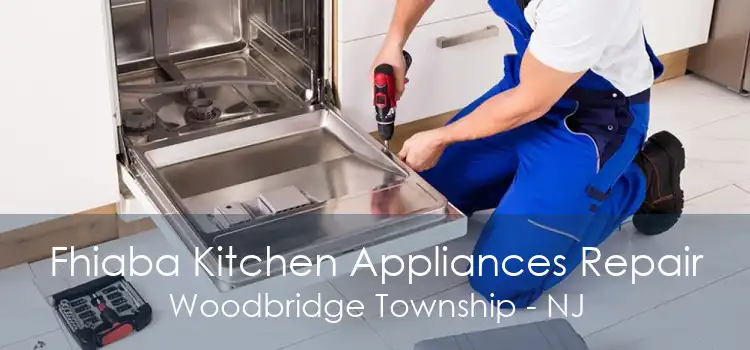 Fhiaba Kitchen Appliances Repair Woodbridge Township - NJ