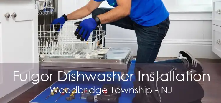 Fulgor Dishwasher Installation Woodbridge Township - NJ