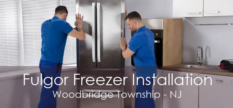 Fulgor Freezer Installation Woodbridge Township - NJ