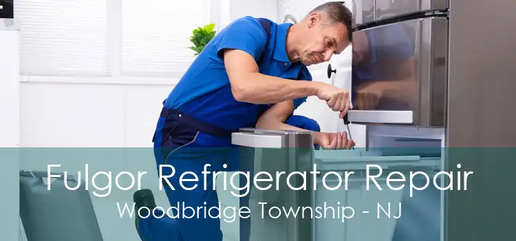 Fulgor Refrigerator Repair Woodbridge Township - NJ