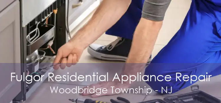 Fulgor Residential Appliance Repair Woodbridge Township - NJ