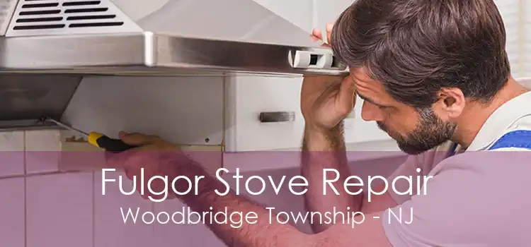 Fulgor Stove Repair Woodbridge Township - NJ