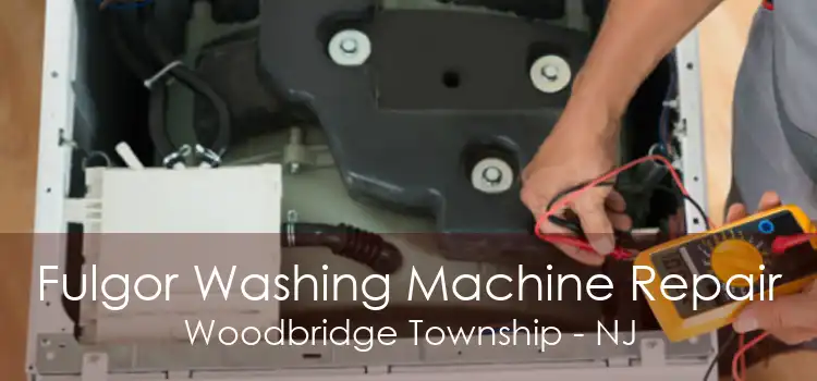 Fulgor Washing Machine Repair Woodbridge Township - NJ