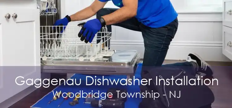 Gaggenau Dishwasher Installation Woodbridge Township - NJ