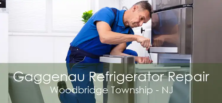 Gaggenau Refrigerator Repair Woodbridge Township - NJ