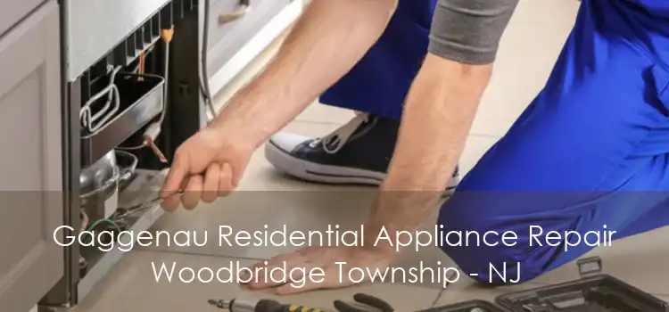 Gaggenau Residential Appliance Repair Woodbridge Township - NJ