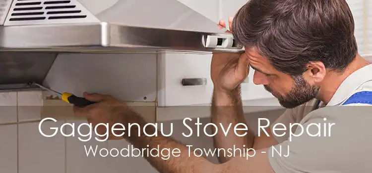 Gaggenau Stove Repair Woodbridge Township - NJ