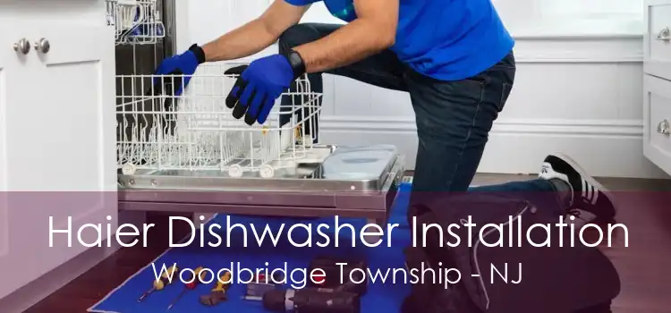 Haier Dishwasher Installation Woodbridge Township - NJ