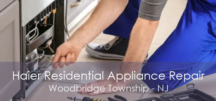 Haier Residential Appliance Repair Woodbridge Township - NJ