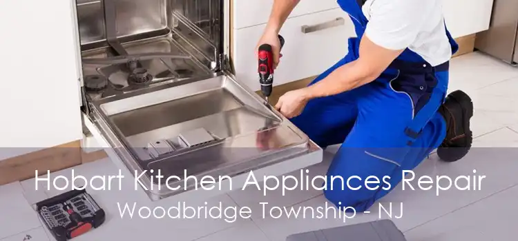 Hobart Kitchen Appliances Repair Woodbridge Township - NJ