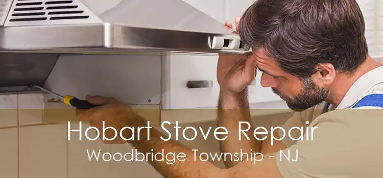 Hobart Stove Repair Woodbridge Township - NJ