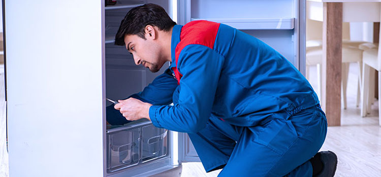 Freezer Repair Services in Woodbridge Township, New Jersey