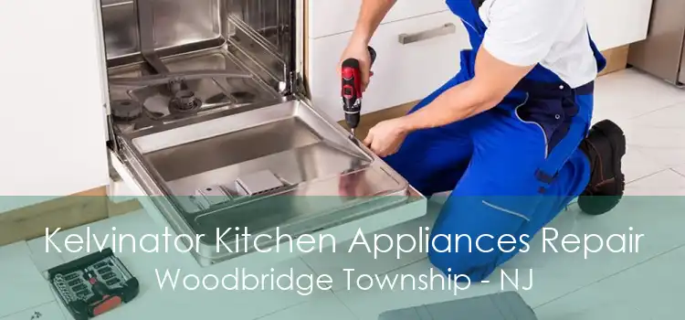 Kelvinator Kitchen Appliances Repair Woodbridge Township - NJ