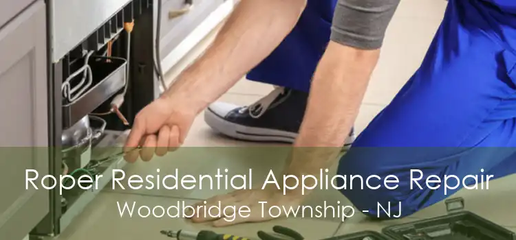 Roper Residential Appliance Repair Woodbridge Township - NJ