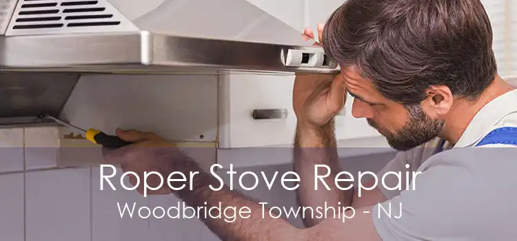 Roper Stove Repair Woodbridge Township - NJ