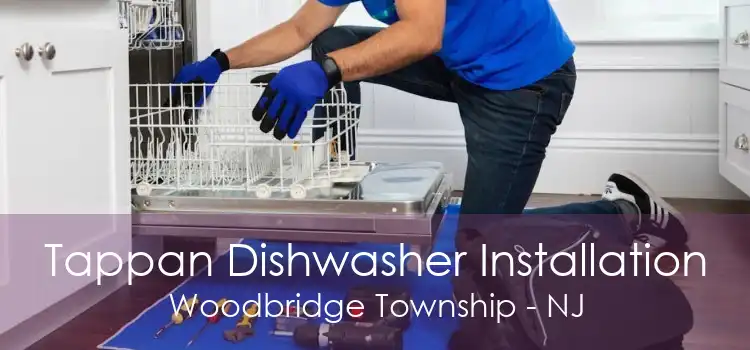 Tappan Dishwasher Installation Woodbridge Township - NJ