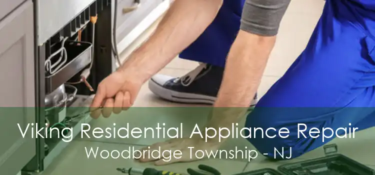 Viking Residential Appliance Repair Woodbridge Township - NJ