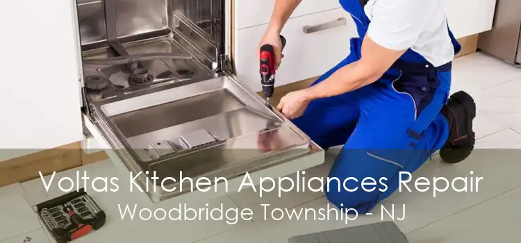 Voltas Kitchen Appliances Repair Woodbridge Township - NJ