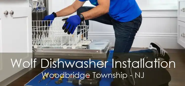 Wolf Dishwasher Installation Woodbridge Township - NJ