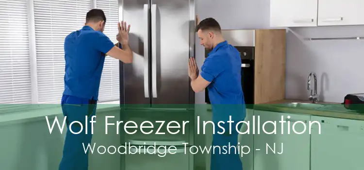 Wolf Freezer Installation Woodbridge Township - NJ