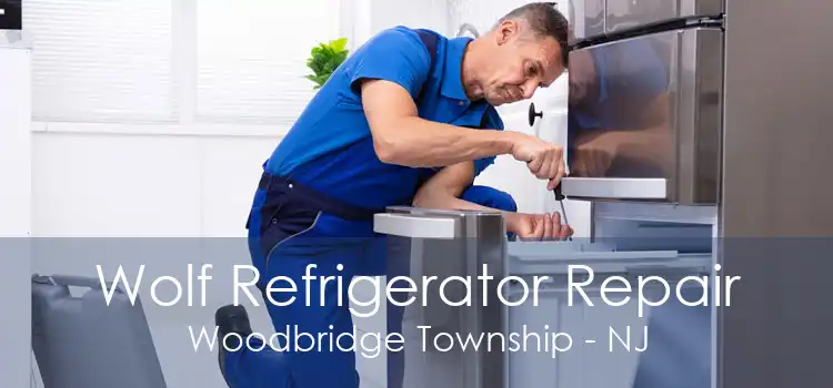 Wolf Refrigerator Repair Woodbridge Township - NJ