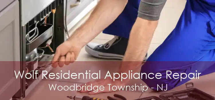 Wolf Residential Appliance Repair Woodbridge Township - NJ