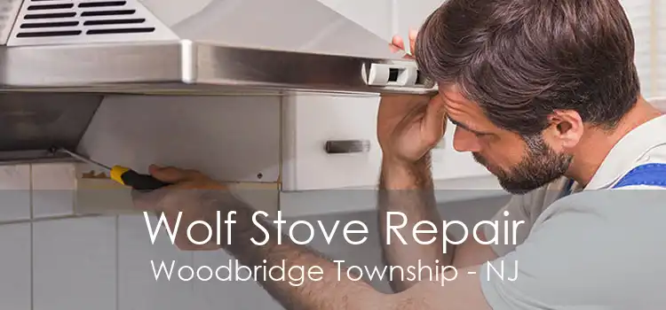 Wolf Stove Repair Woodbridge Township - NJ