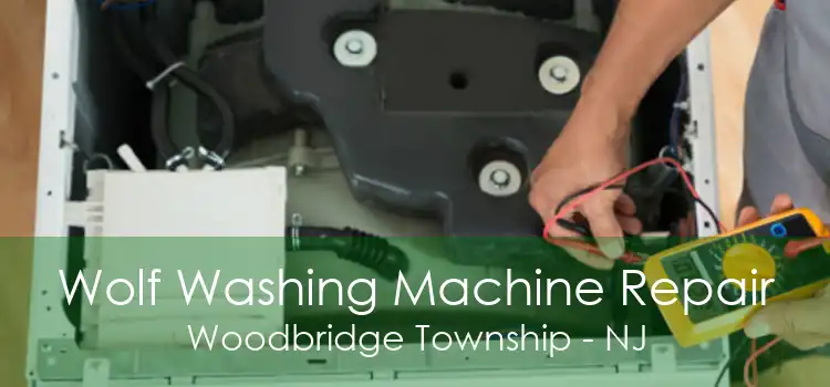 Wolf Washing Machine Repair Woodbridge Township - NJ